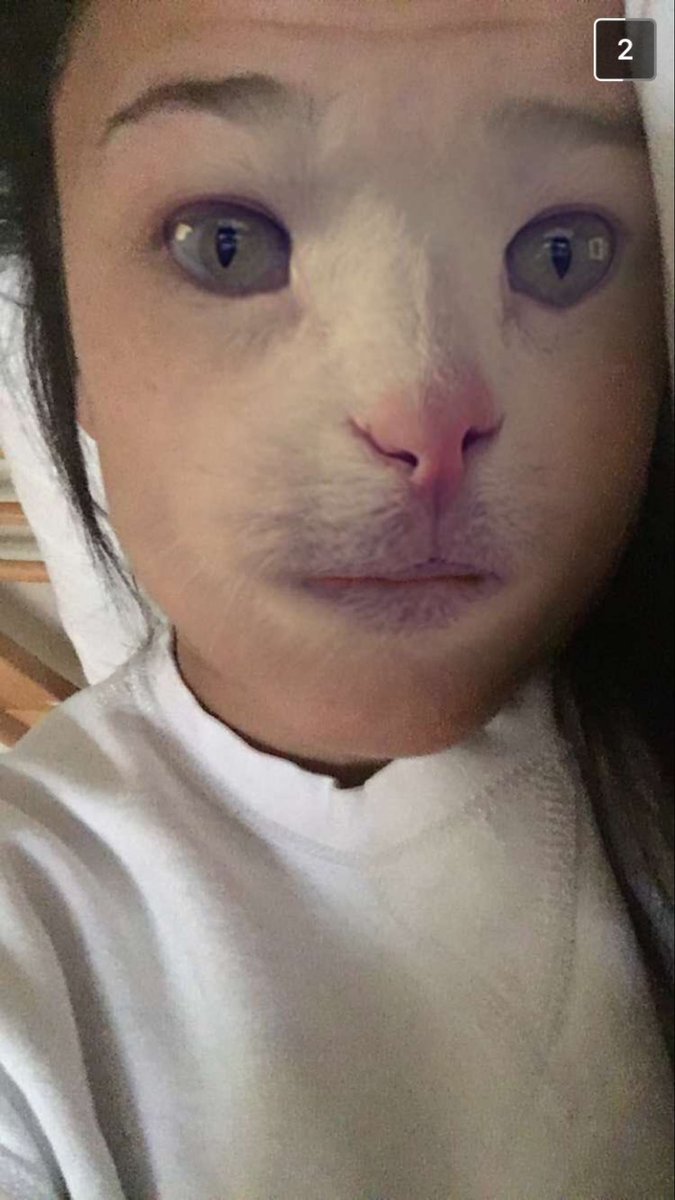 IanGrimes13's tweet photo. Happy National Cat Day 😹 https://t.co/mfRwA7rU51
