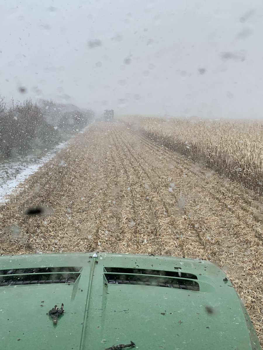 kamblight's tweet image. Less than a quarter mile visibility. #arewehavingfunyet #icouldgoforawhisky