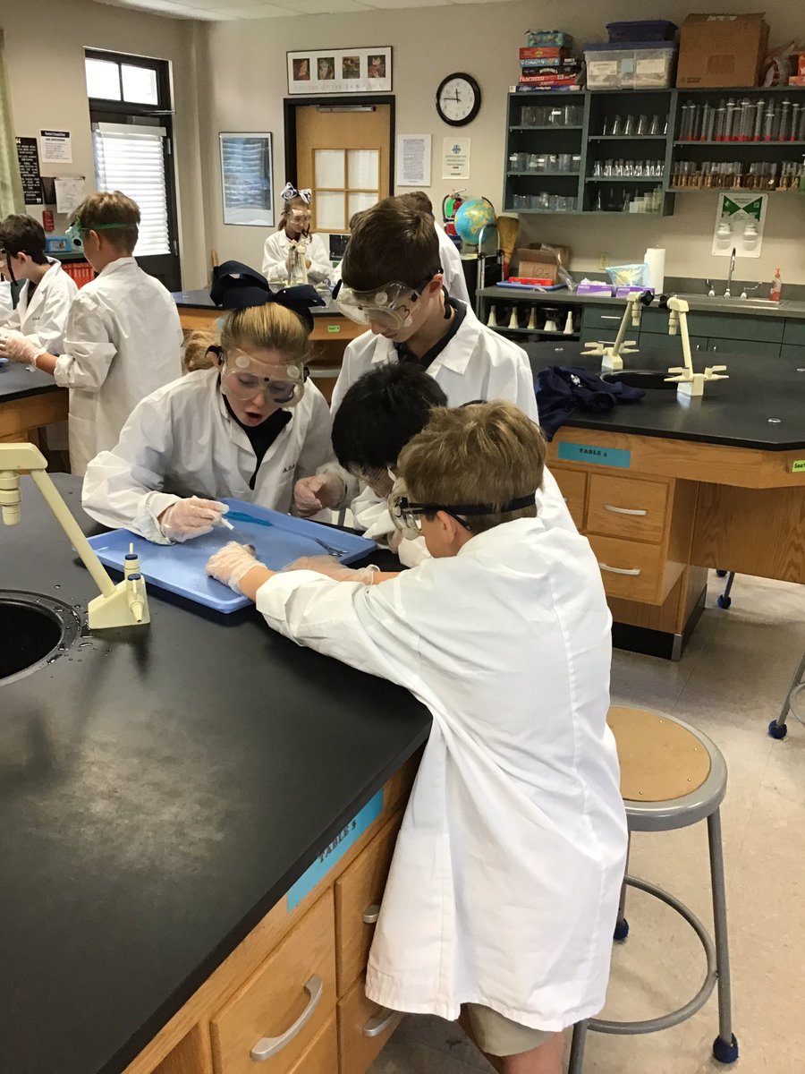 Bluegators5th's tweet photo. Sheep Eye Dissection! 5th Period https://t.co/c0OnrIA6Ay