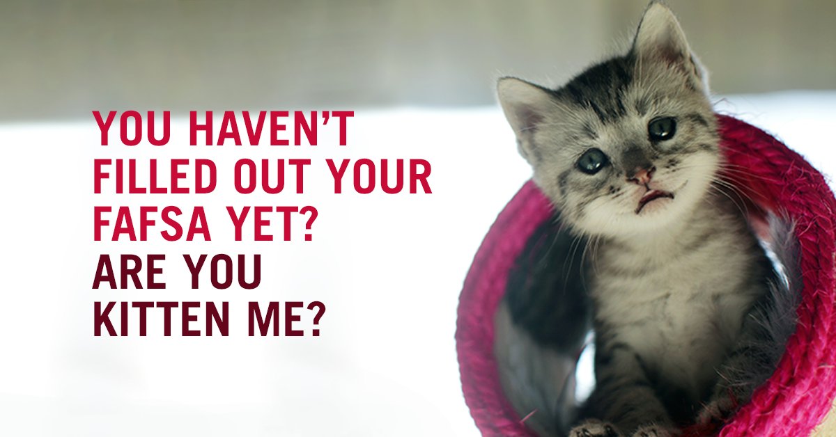 FAFSA's tweet photo. Make the kitten happy for #NationalCatDay.😸 
Fill out your FAFSA form meow ➡️ https://t.co/1xMIqZXFpS https://t.co/xz3nbGUubK