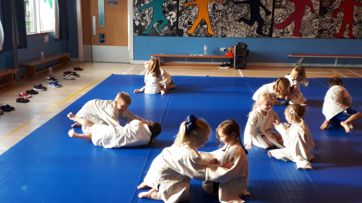 MilnathortPS's tweet photo. Every picture tells a story & this story is P1 thoroughly enjoying their judo taster session this morning ๐ฅ @ASKinross Another great day of Taster Sessions from Callum @destinationjudo #Wellbeing #active https://t.co/9sl78Rsawa