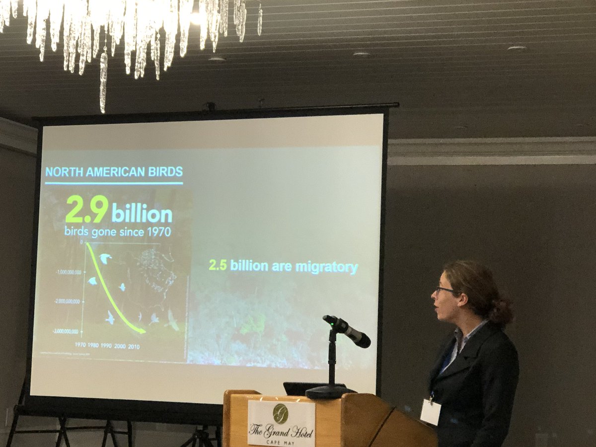 JERutter's tweet photo. Ruth Bennett of @SMBC presenting a slide on #bringbirdsback to give context for need to do conservation and how bird-friendly chocolate is one way - a yummy way at that - to help birds. 

HT #AFOWOS2019 @ABCbirds https://t.co/KrAA8oz2dY