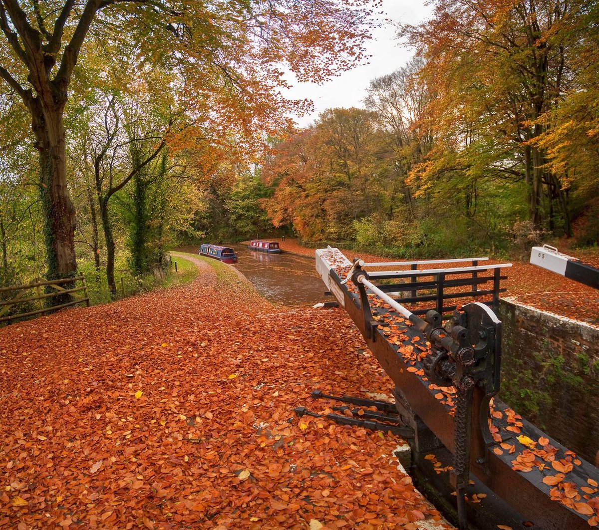 VisitBeacons's tweet photo. The @BreconBeaconsNP comes alive in the autumn, with crisp leaves and roaring open fires in cosy inns and pubs. Head outdoors and go for a rejuvenating walk in many of the breathtaking spots in the #BreconBeacons.

https://t.co/JYlKosjLI0 photo Nigel Forster https://t.co/bPyswPrxbw