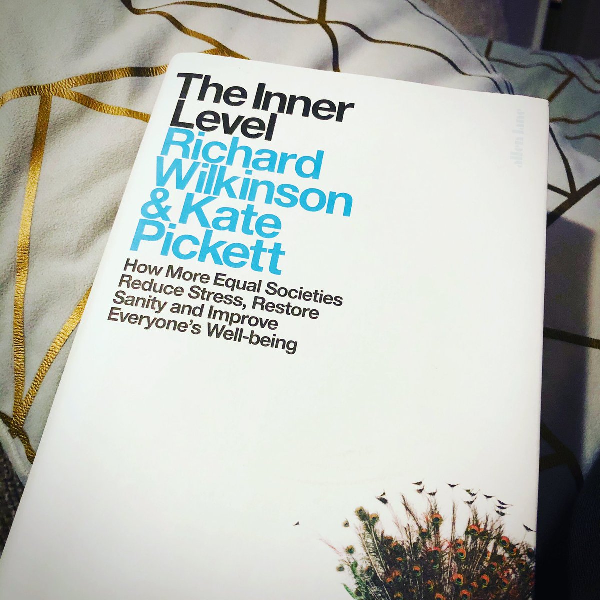 danielrogers05's tweet photo. Finally got round to starting #theinnerlevel ...So fat I’ve read the prologue - the briefest of summary of #thespiritlevel - now to delve into the good stuff
@ProfRGWilkinson @ProfKEPickett @equalitytrust #inequalities #equalsocities #publichealth #healthpolicy https://t.co/J6Gxp7MdOu