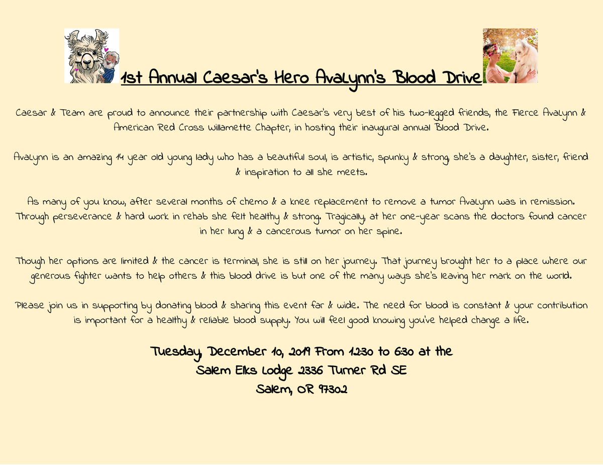 MsArielKnox's tweet photo. Please consider retweeting this so that we can spread the word and help as many people as possible.
See our Facebook Event Page for more information.
#ImWithTheLlama #llamactivism #FierceAvaLynn #RedCross #CaesarTheNoDramaLlama #llama #BloodDrive #SalemOregon #CaesarCares https://t.co/CrhcAMrSIo