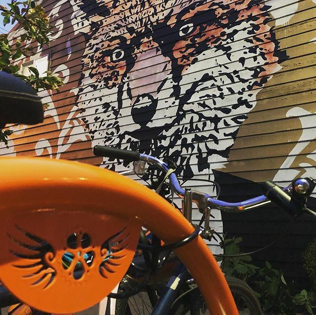 elgruponorte's tweet photo. New bike racks are dope. Thanks, @greatlakesstainless. #grandtraverse #bikerack #bikelocal #supportlocal #buylocal https://t.co/q7d82FIbsk https://t.co/13reO2y04R