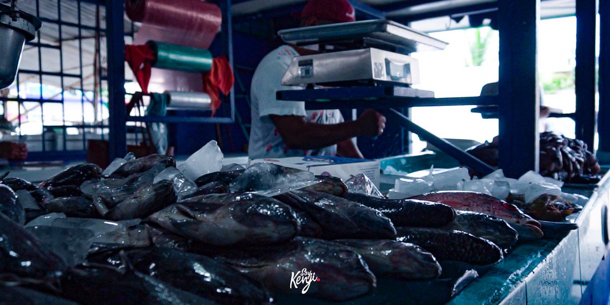 SoyKenji's tweet photo. La imagen la saqué de un SlowMotion que grabe de uno de los trabajadores del Mercado Central de Marquelia que le estaba dando duro a un bloque con el picahielo.... Y la toma quedó pf mamona!!!
#Mexico #Marquelia #GenteTrabajadora #MercadoDePeces #Mercado #Peces #Vive_Mexico https://t.co/riz6N1YqlI