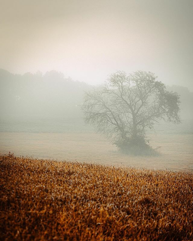 If you drift of to the right of the image I posted yesterday, this is what you get. ift.tt/2JxqO8h