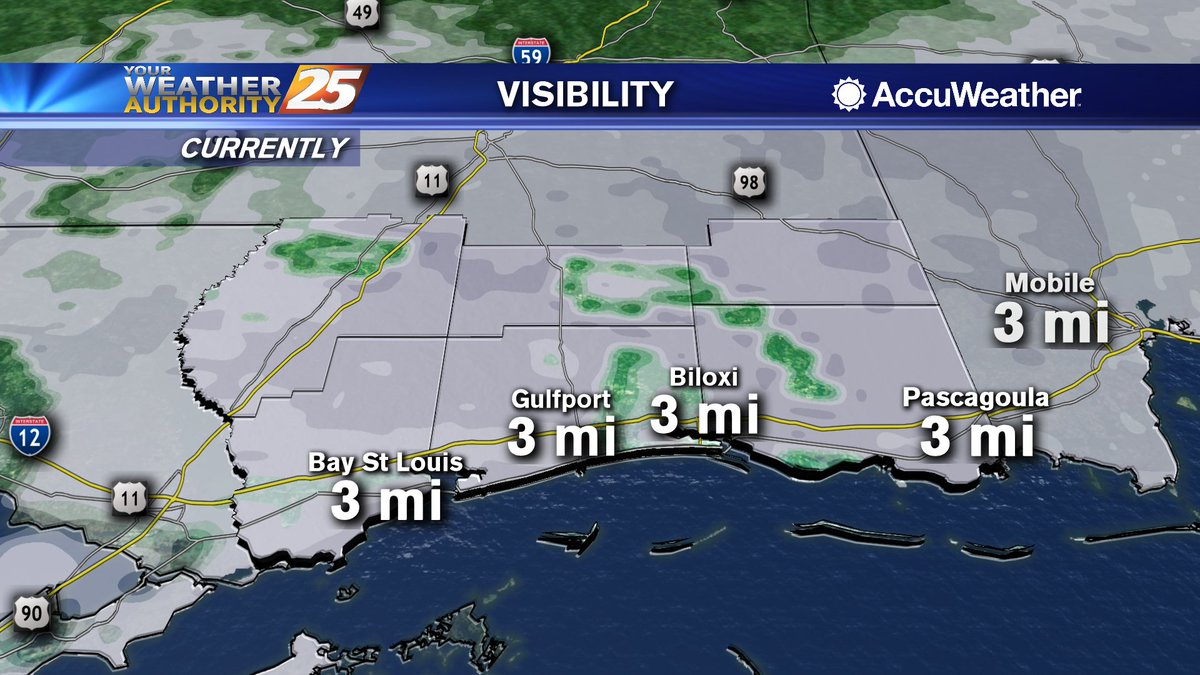 RyanMahanWx's tweet photo. Visibility issues are already popping up, and patchy, locally dense fog is expected overnight. Get the full forecast details at 10 PM on NBC @WXXV25โ. #WeatherAuthority #YourLocalChoice https://t.co/TJK9O7MvKk
