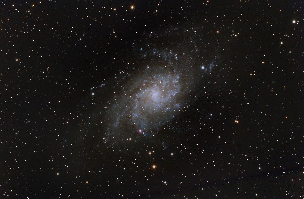 Vaillant0879's tweet photo. Here it is M33. The triangulum galaxy. Took 80 x 4 minute subs and had to toss 35 of them, Ouch! This was a difficult target to process but was worth it. #astronomy #astrophotography #galaxies #astrodad https://t.co/oynBdpn7YQ