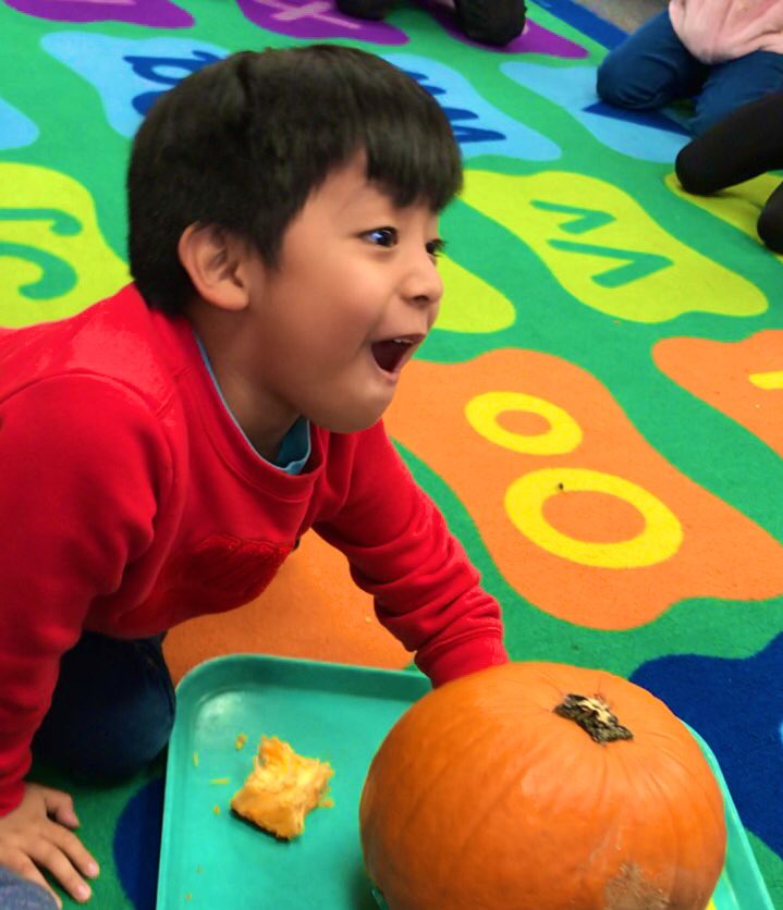 MissCisar's tweet photo. My students got to investigate a pumpkin with all 5 senses today! Can you tell “touch��� was the class fav? #OPSproud #STEM @OmahaPubSchool https://t.co/NbNlpjLZ1Z