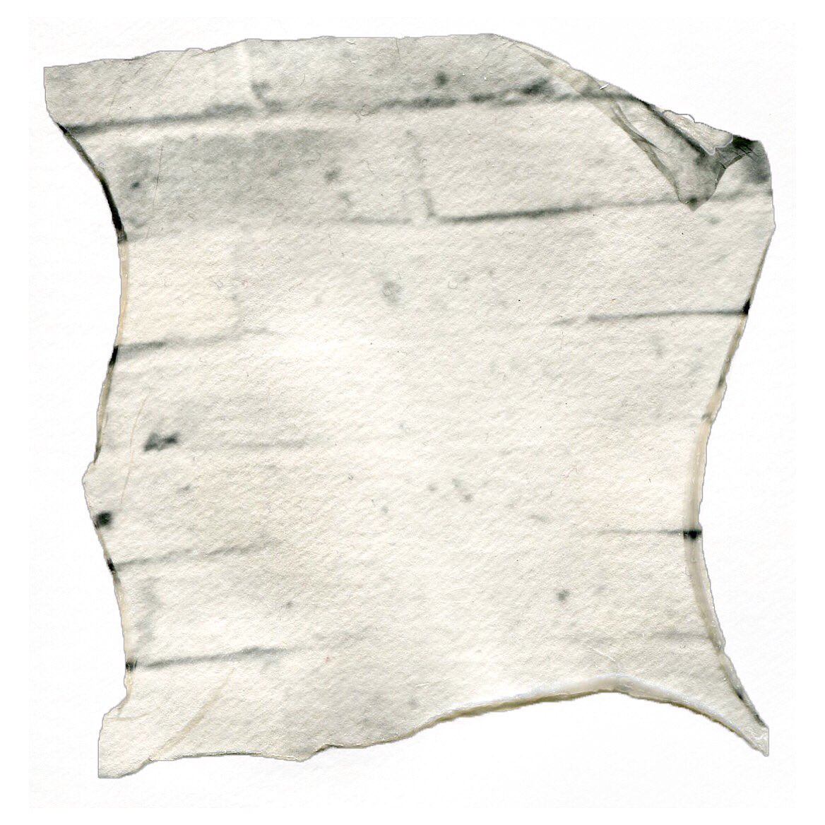 hannah_maden's tweet image. Polaroid lift •
•
•
#polaroidlift #details #closeup #somethingdofferent #play #explore #experiment #fun #photography #instantphotography #polaroid #alternative #fold #crease