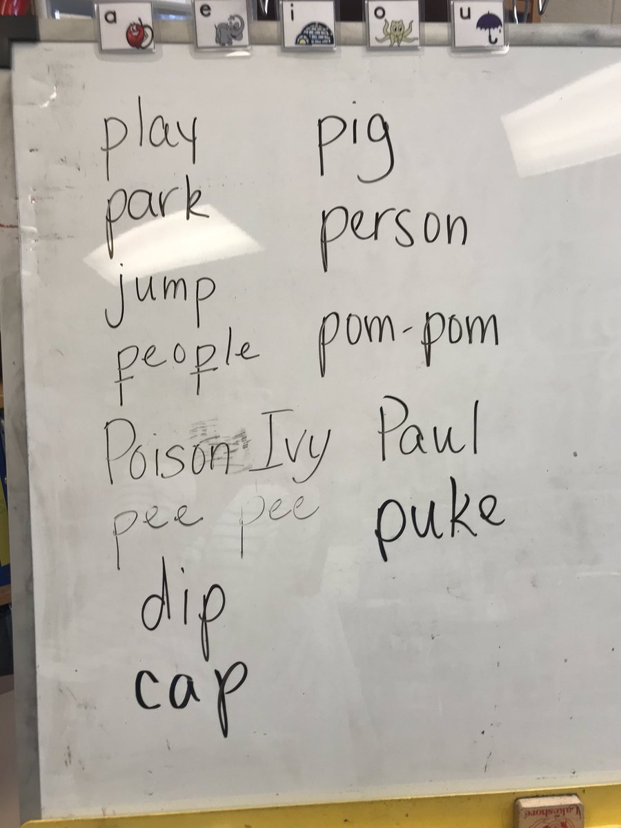 Check out the progress Orton-Gillingham is making with my student! Brainstorming /p/ words with the sound in the initial and final position!