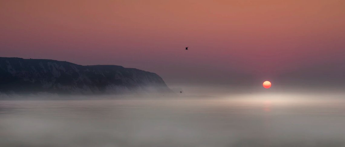 laze_life's tweet photo. #ZoltanTasi-
always a #lazelife favorite #photographer

Sharing his new additions to https://t.co/FouvHuo5HI 🙌

https://t.co/kCZDrmK7Fr https://t.co/B0Y5DWMojM