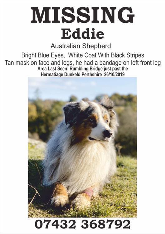 Anyone in/around Perthshire - and wider UK ... be on the look out: