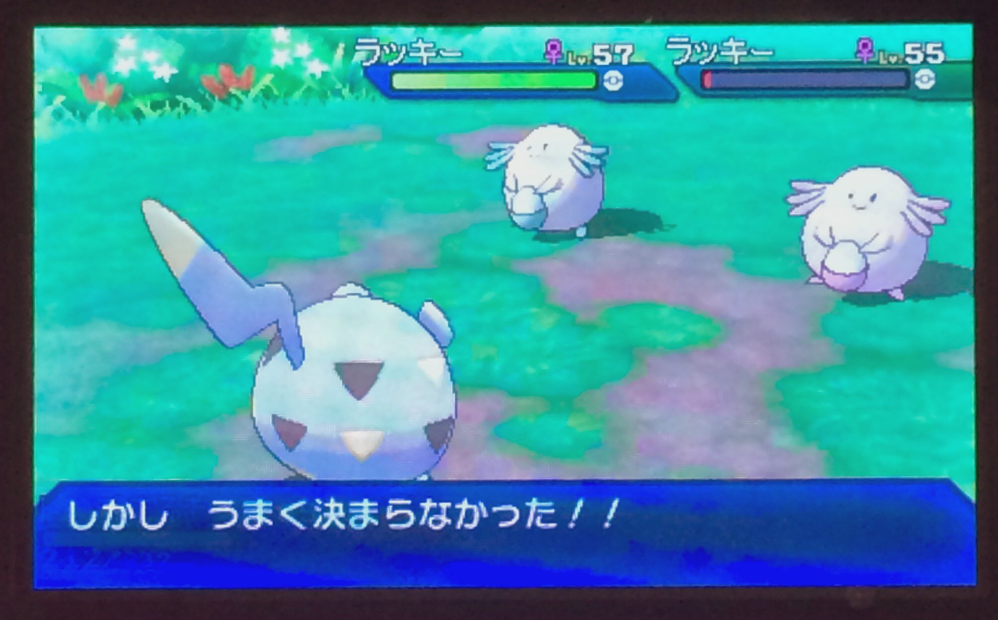 あいぼりー Usum噂のラッキー連鎖レベル上げで 光っちゃったよ ぬしポケモンのトゲデマルの大きさで画面がぎゅむぎゅむ T Co 3gdt2hj7h0 Twitter