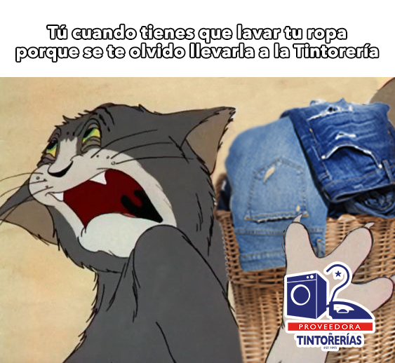 ¡No pierdan tiempo lavando ropa, acudan a su #Tintorería más cercana!
😆😆😜😜😜

#FelizMartes #Lavandería #Planchaduría