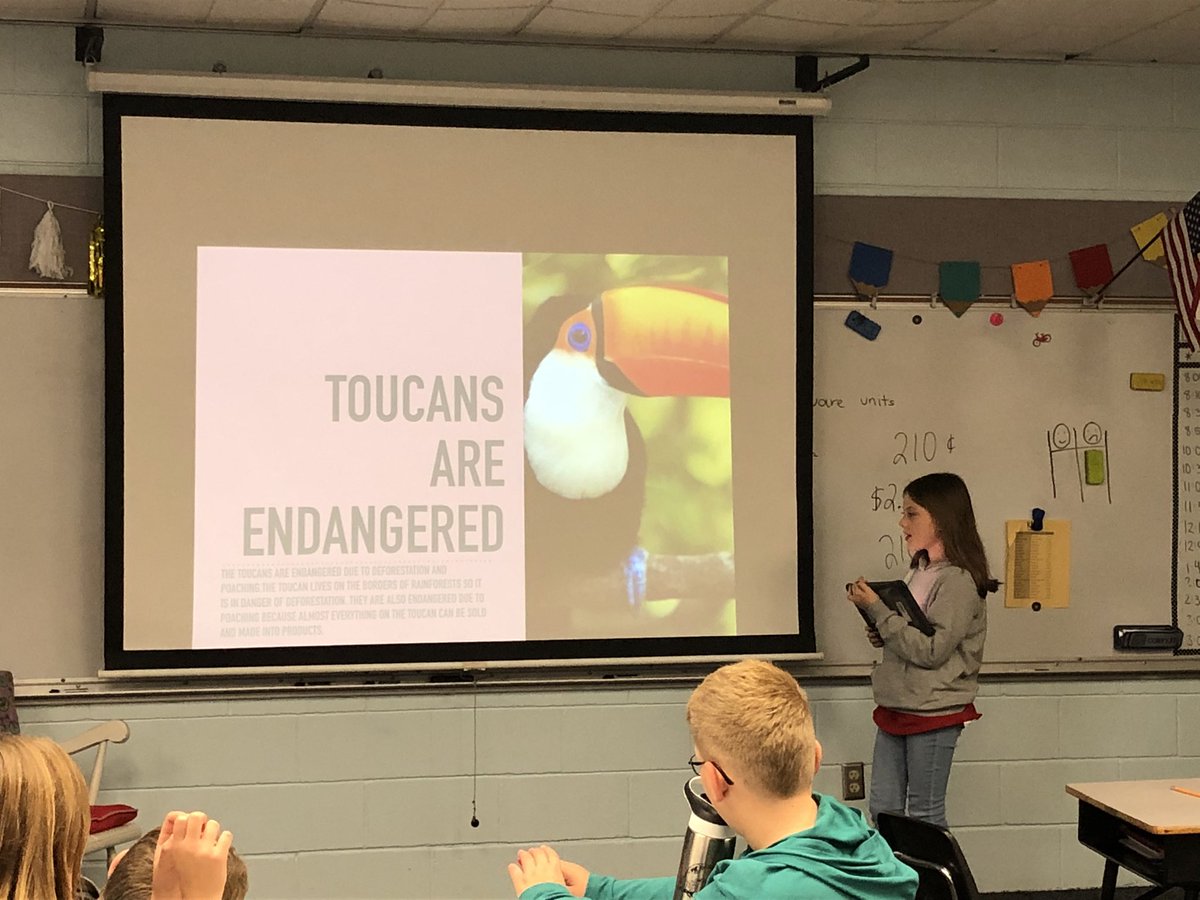 Students presented their endangered animal research project! Students LOVED this project and they were so proud of their hard work! Makes this teacher heart so happy! <a href="/prairie512/">Prairie Elementary</a> <a href="/kris10shipp/">Kristen Jones</a>