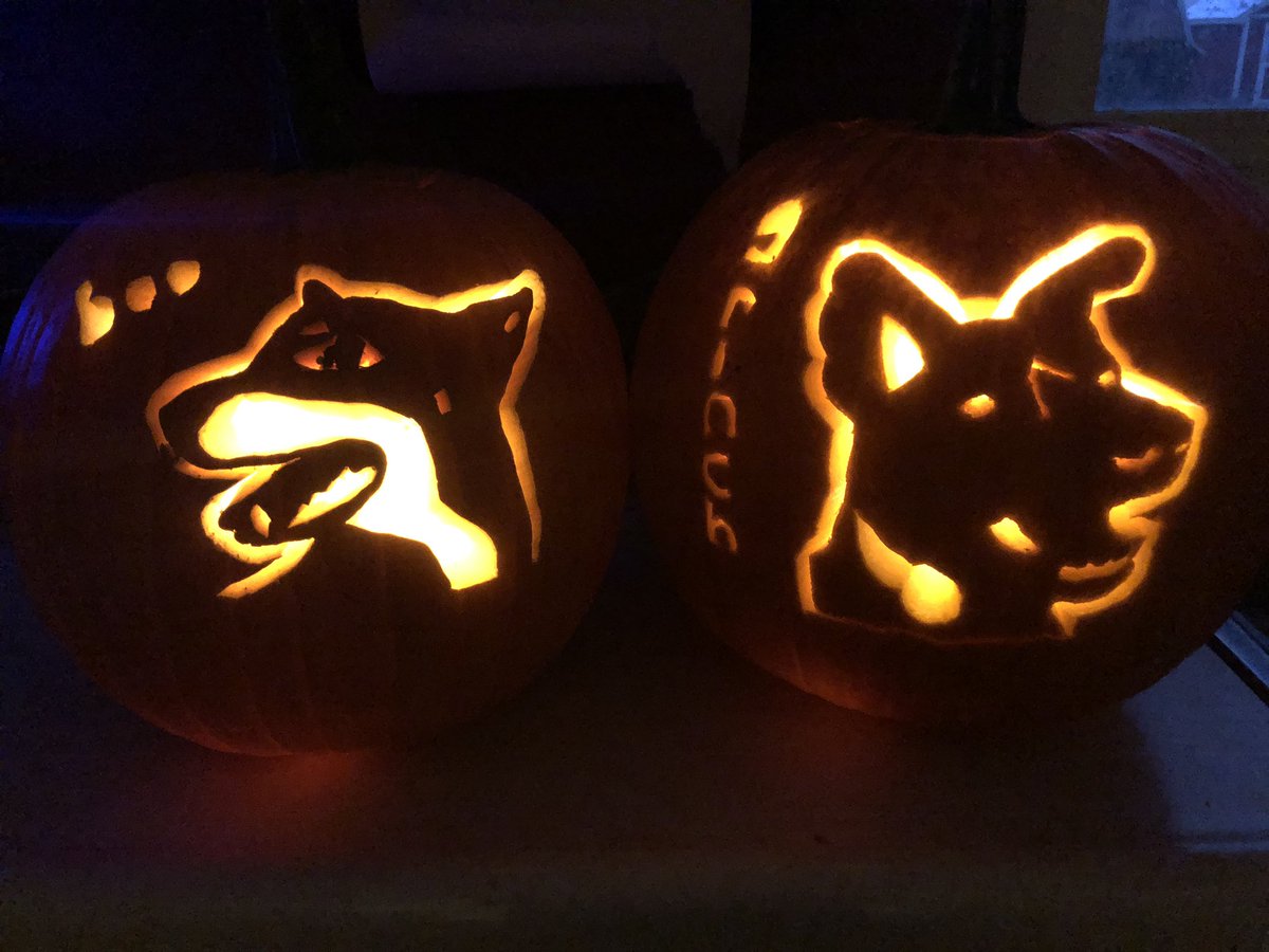 We now have Boo AND Grinch pumpkins!!  @BlairBraverman  #uglydogs