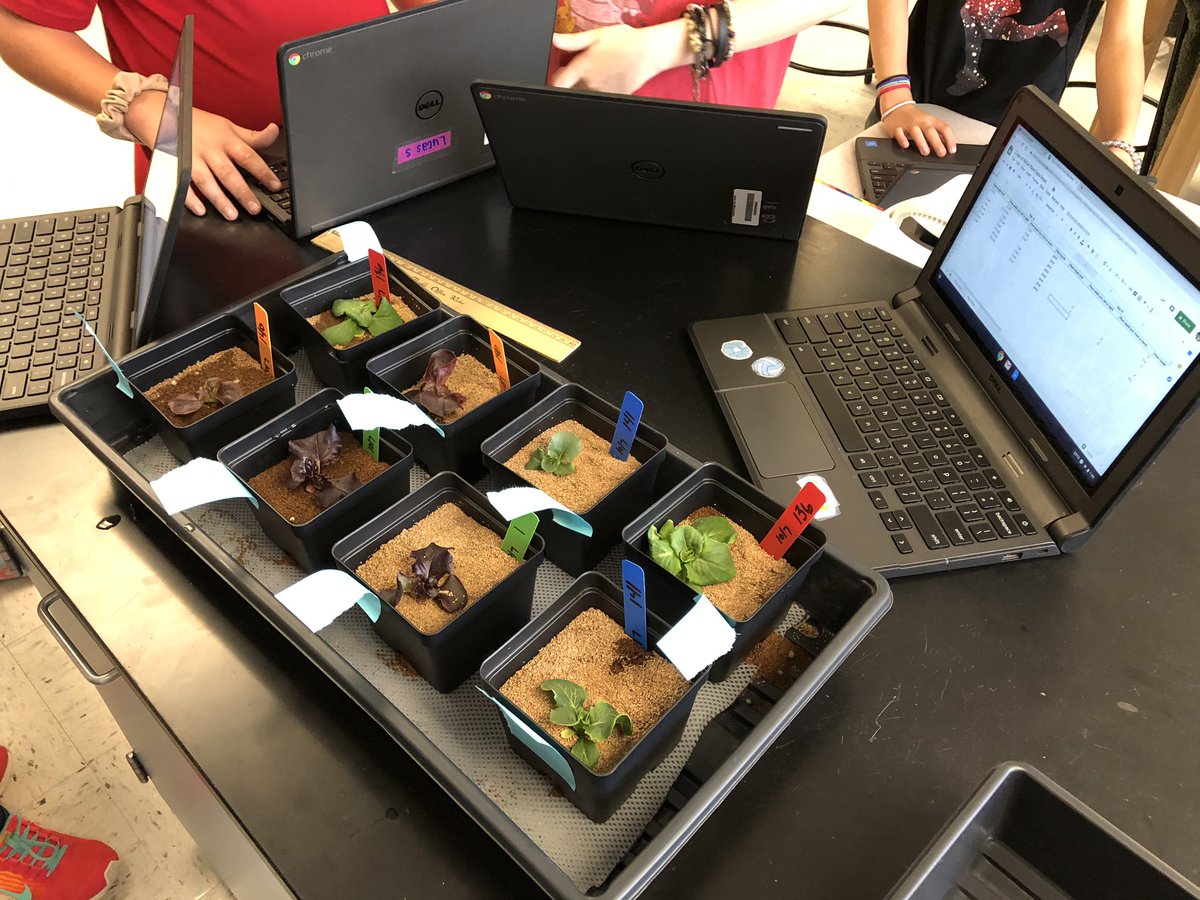 Data collection Day 21! The plants are growing and we sharpening our data collection skills! @GrowBeyondEarth  @UwharrieRidge #nuggetsonmars19