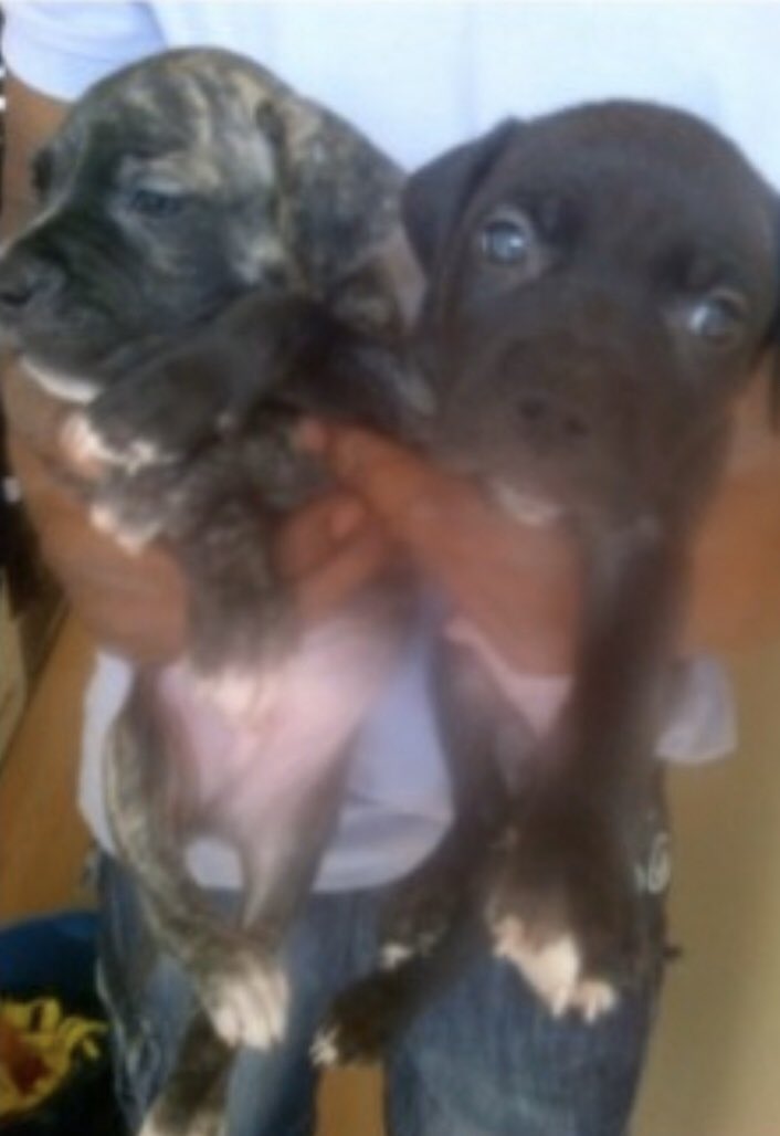 Ig5 Hashtag On Twitter