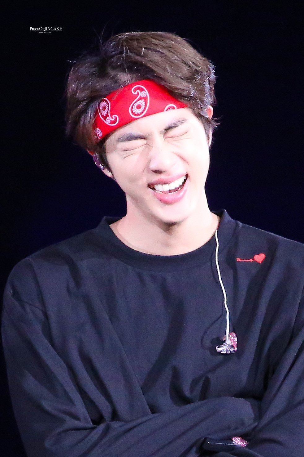 ソクジン SYS 公式 うちわ BTS 防弾少年団 グッズ うちわ