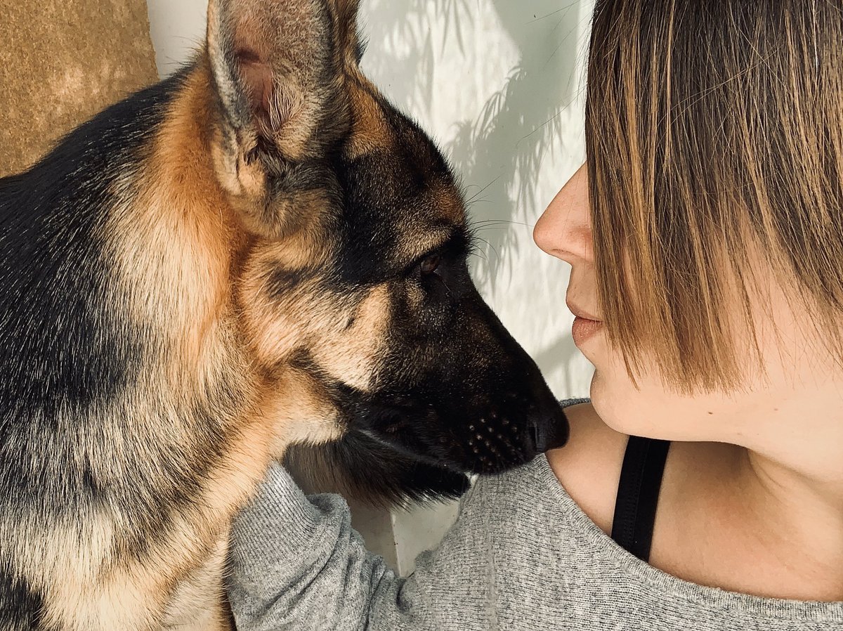 || Os dejo esta foto a nivel user porque:

1. No se me ve la cara de mierda que tengo.
2. Porque me da la gana.
3. Porque es una jodida maravilla.