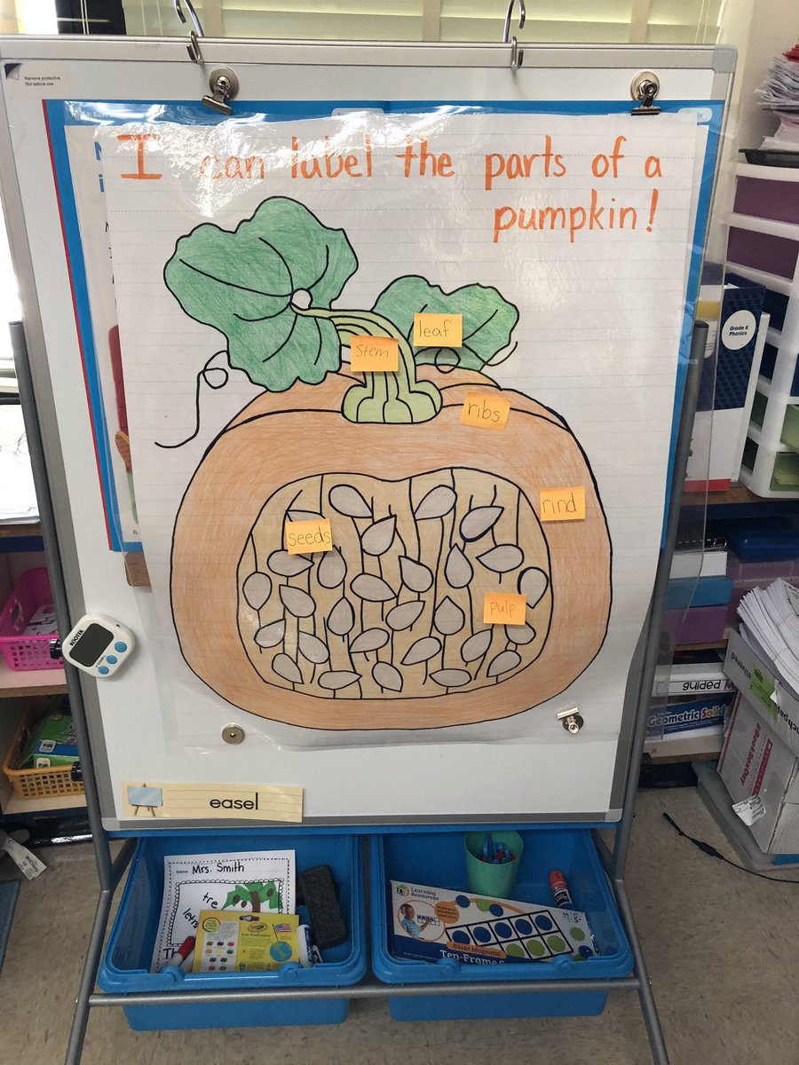 emily_m_smith_'s tweet image. After our field trip to the pumpkin patch, we celebrated pumpkin day! We used our senses to describe how a pumpkin feels on the inside and outside, then we labeled the parts of a pumpkin and created a pumpkin craft! #Kindergarten #handsonlearning #lses