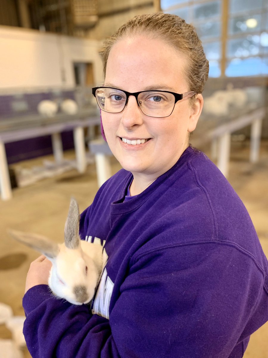TSURabbitry's tweet photo. Here’s another #TuesdayTakeover post with #MamaBowtie checking on the baby bunnies after work. This little guy enjoyed being held so much that he almost fell asleep! 
#thebunnywhisperer https://t.co/4KAhOxKbM5