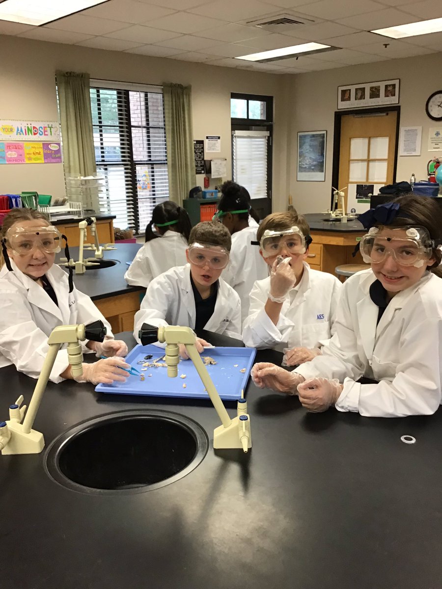 Bluegators5th's tweet photo. Sheep Eye Dissection! 6th Period https://t.co/6qPgZderz6