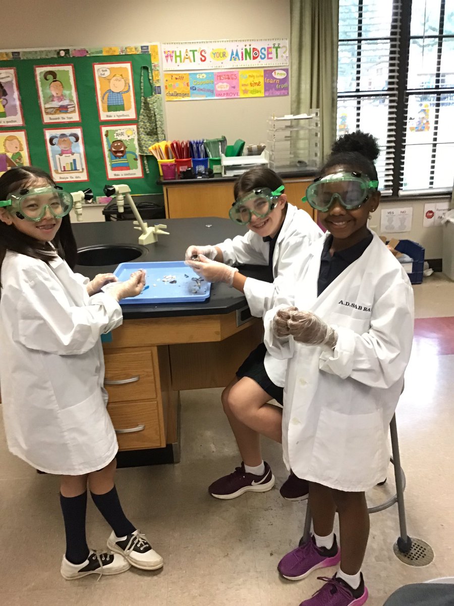 Bluegators5th's tweet photo. Sheep Eye Dissection! 6th Period https://t.co/6qPgZderz6