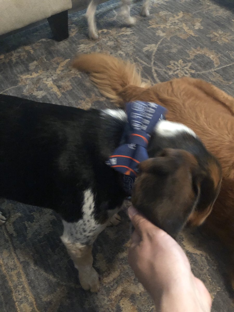 MisterFannyPack's tweet photo. #takeitback #mylesfans #rocketfans #millyfans https://t.co/nGYB0b5vZB