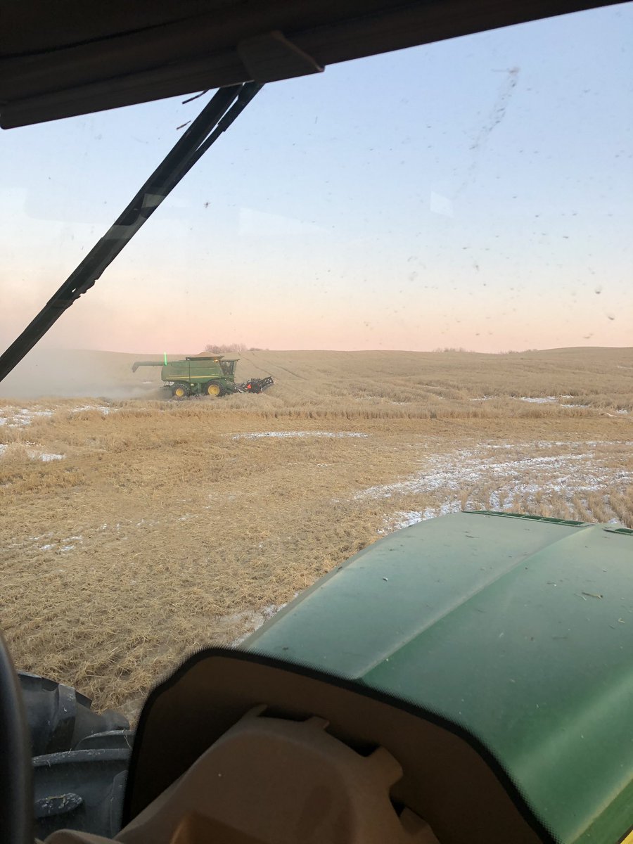 Combining Wheat in the snow!