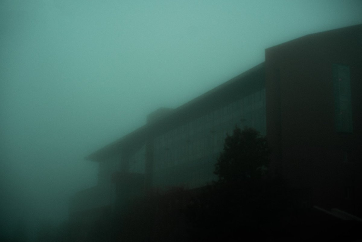 morwig_film's tweet photo. Sometimes college is scary. @WestVirginiaU https://t.co/99BduQvrtu