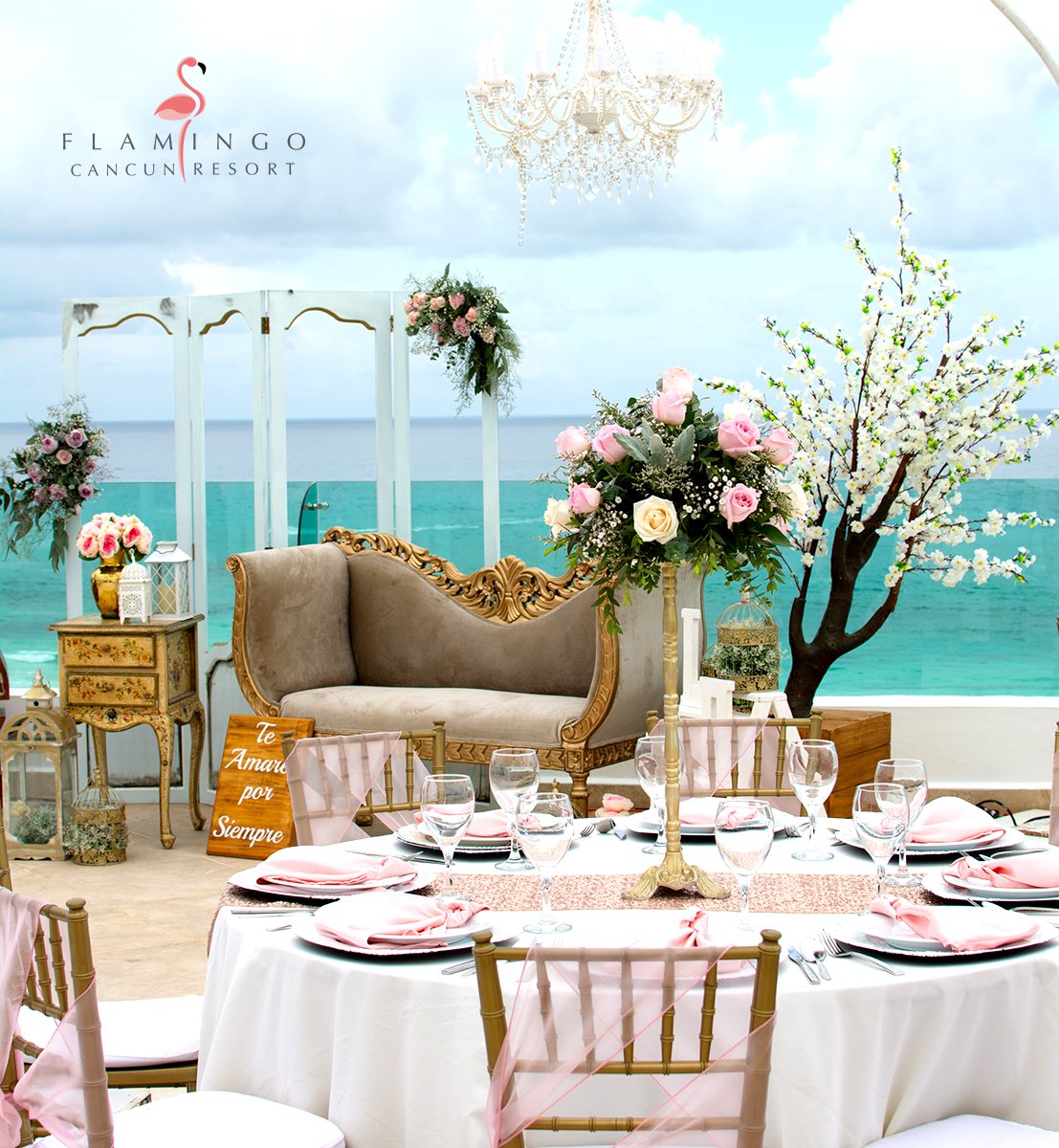 Flamingo Cancún tweet media