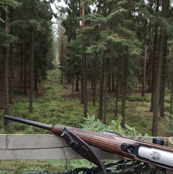 Mauser_USA's tweet photo. Beautiful view from the hunt, courtesy of @waidjaeger.

#mauserusa #mauser #mauser12 #mauser12max #happyhunting #hunting #huntingspot https://t.co/q7QQbSsi6k