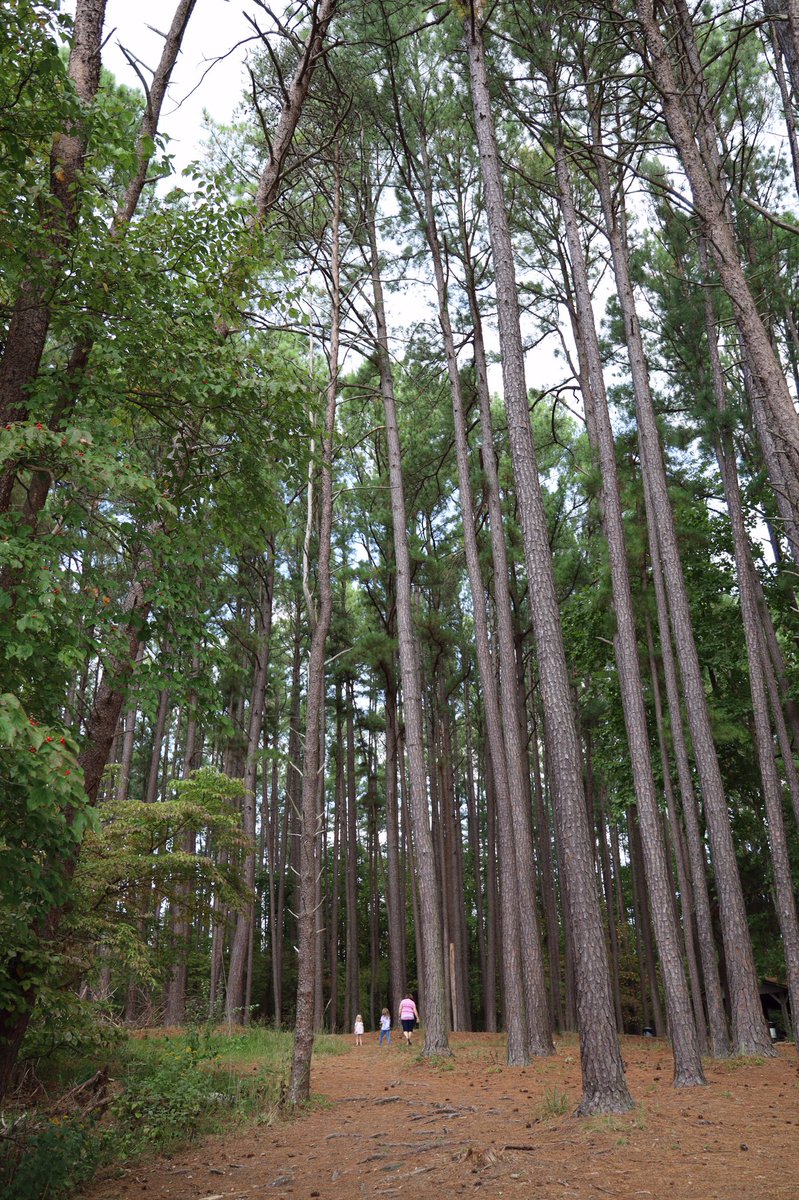 Learned_Now's tweet photo. Some days you need to feel small https://t.co/yVBCR9wQEN