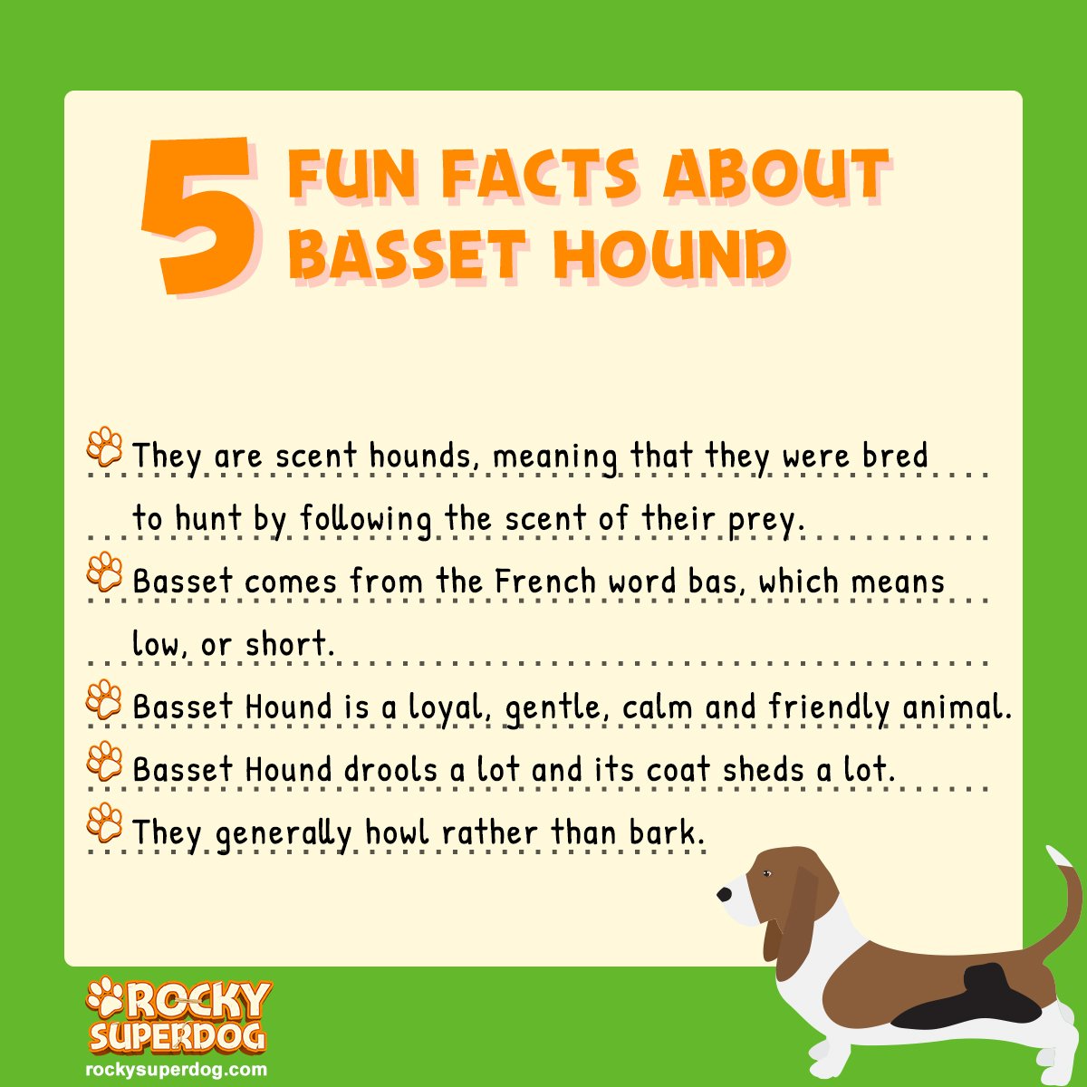 Basset Hound Fun Facts 