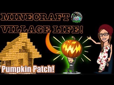 LilZtv's tweet photo. #NEW #Minecraft Village Life: Pumpkin Patch &amp; Too Many #Villagers! #LIVE #MINECRAFTPE #Youtube 

https://t.co/lFPRdweOXM https://t.co/HiUcebI6mv