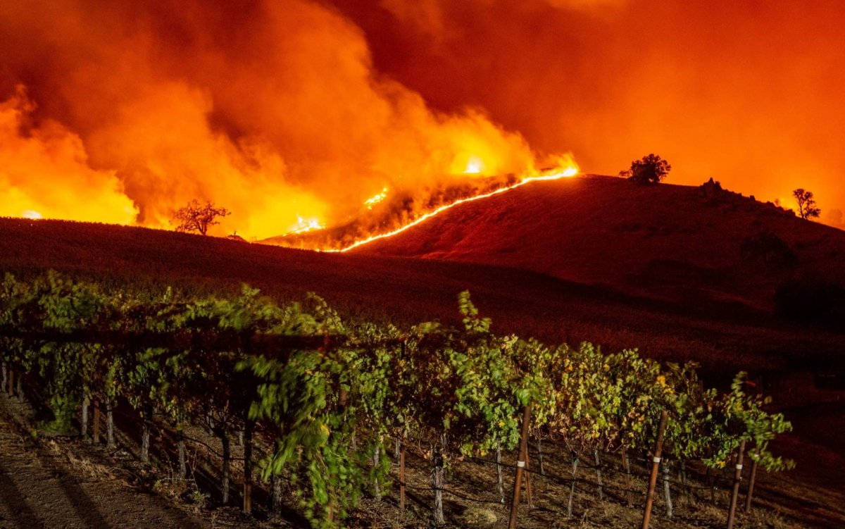 Kincade Fires - Office Closure - mailchi.mp/ncva/kincade-f…