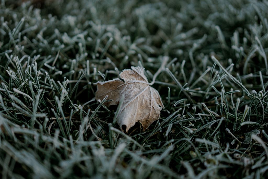 amysold1's tweet photo. THE COLD WEATHER HAS ARRIVED! Make sure your home can handle the frigid temps with these cold weather home maintenance tips.
🥶❄️🥶❄️🥶

https://t.co/uxOiBgDN0h

#PRGBlog #PremiumRealtyGroup #WinterHomeMaintenance https://t.co/4Dy4ygLfgB