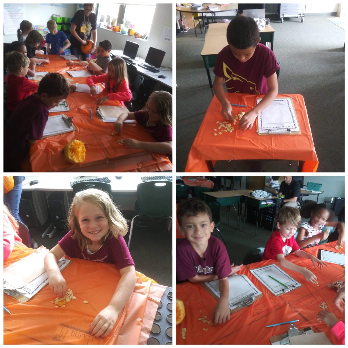 TashMich83's tweet photo. Me and my 19 best friends had a blast with our pumpkin inquiry.  First a Science lesson  applying all steps of the Scientific Method and then followed up with a Math lesson where we counted pumpkin seeds using 1s,10s, and 100s!! https://t.co/VMmi3Bw9et