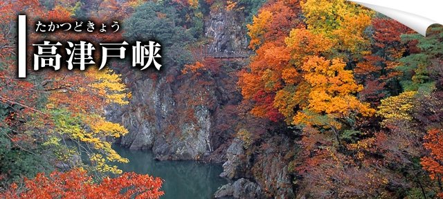 ググっとぐんま 公式 ぐぐったぁ みどり市 で発進 無料 で観光地を巡ることができるバス 11月の土日祝日は みどり市 に遊びに行こう バスで巡れる観光地 一例 高津戸峡 渡良瀬川両岸の 紅葉 が映える秋季の景観は見逃せません