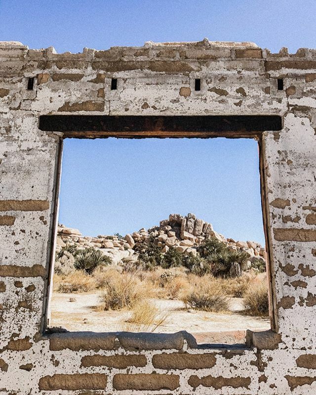 jerwaters's tweet image. #iseefaces in Joshua Tree 🤠 ift.tt/2pZxyFk