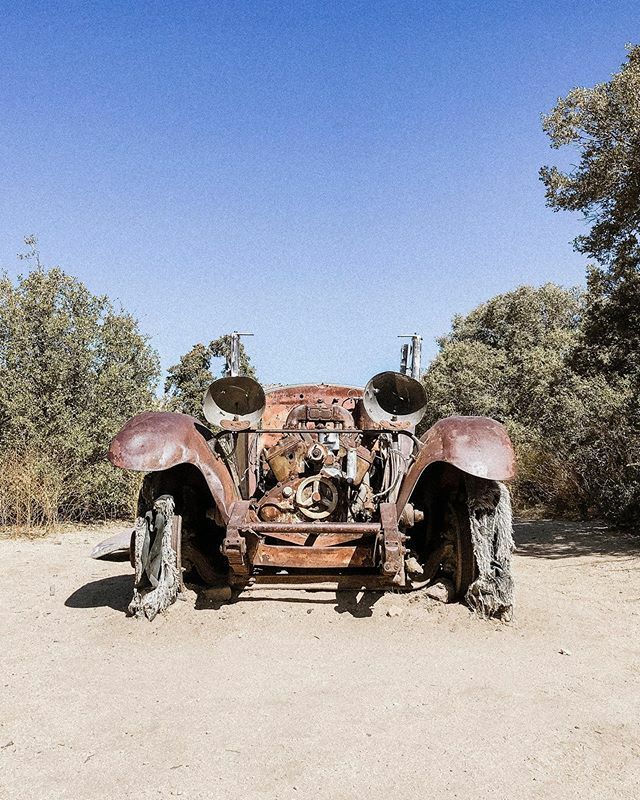 jerwaters's tweet image. A beetle who got forgotten in the desert 🚘 ift.tt/2Px1za6