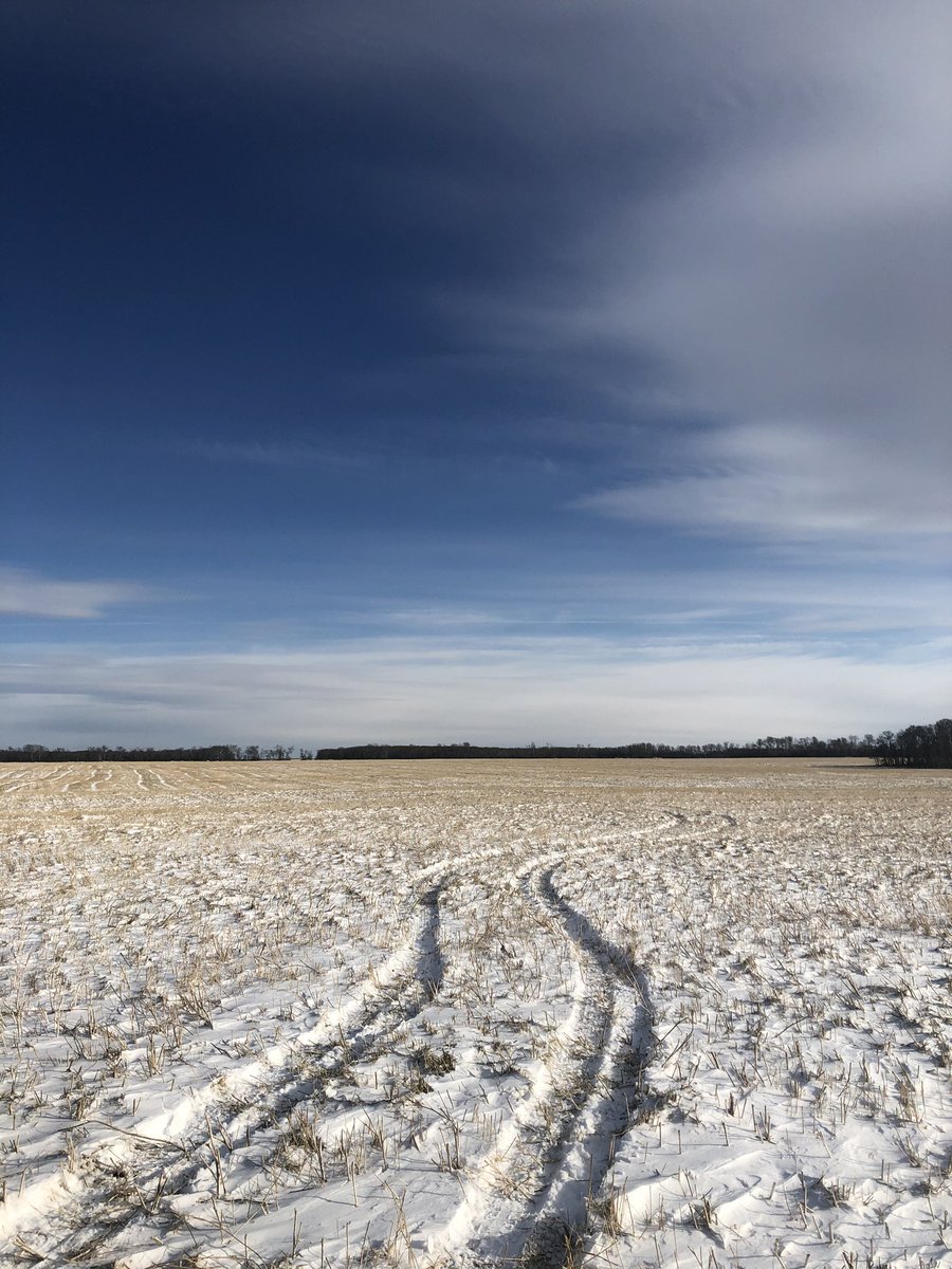 paultastad's tweet photo. Cool, windy day out there today! Bringing some chilled soil back to @YourSoil Lab this afternoon for a new customer In the Hafford area. #prstechnology #soilsampling2019 @westernagNWSask @Western_Ag https://t.co/VBGTFWtWNq