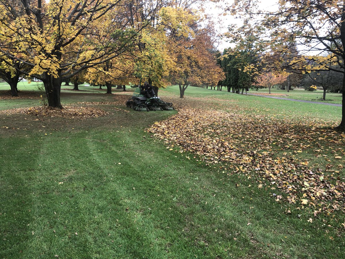 Love the fall of the yr when you get to mulch leaves in reverse love the new rough mower it does an amazing job