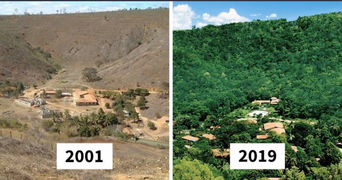 SDG2030's tweet image. Photographer And His Wife Plant 2 Million Trees In 20 Years To Restore A Destroyed Forest And Even The Animals Have Returned
boredpanda.com/brazilian-coup… 

@Brazil_UN_NY @Razarumi @ValaAfshar @benpiven @kiranshaw @MichaelEMann @AidanRGallagher @davidnabarro @juancanavarro @rbalsaud