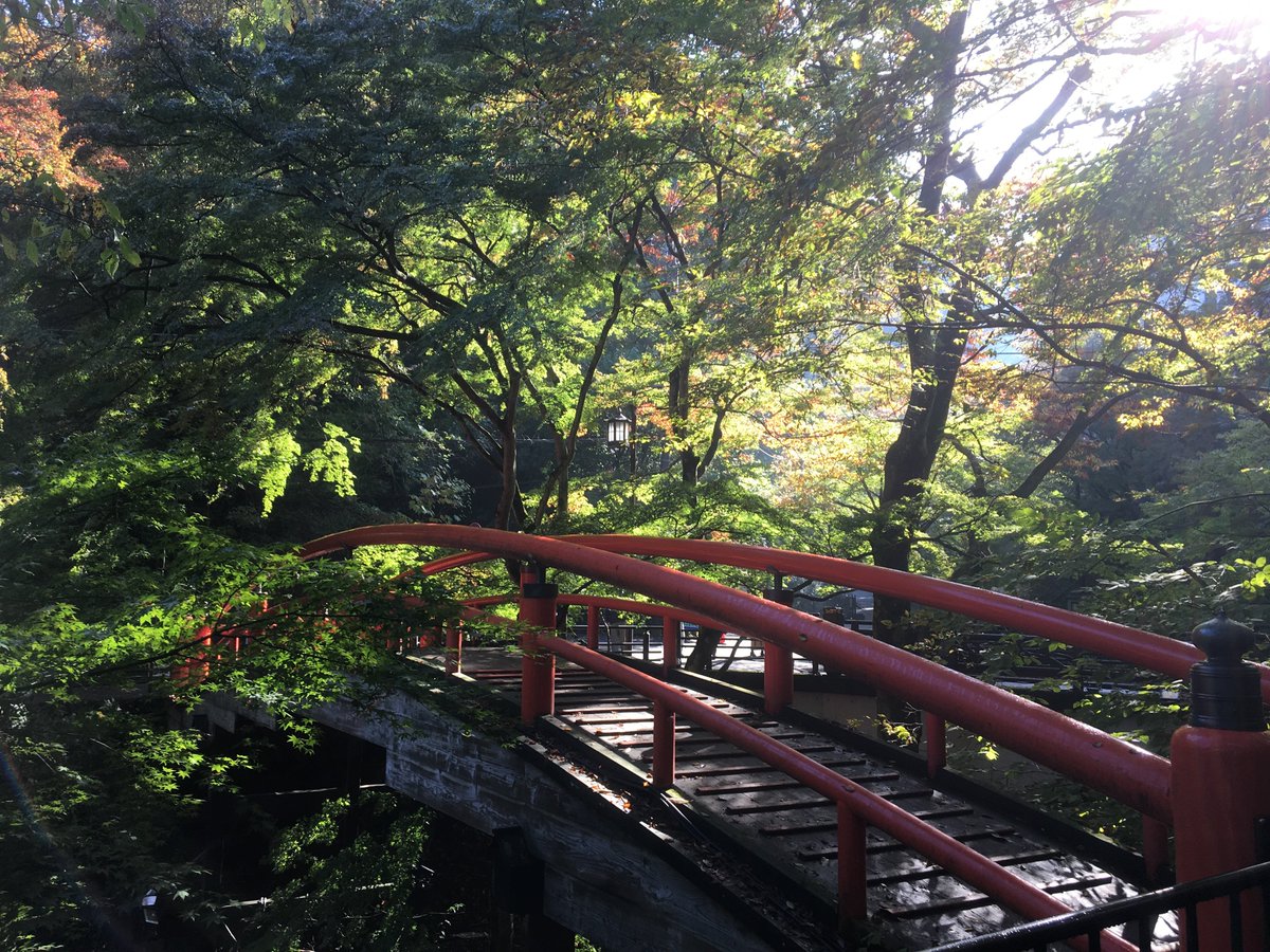 渋川伊香保温泉観光協会 Na Twitteru 河鹿橋の紅葉情報 10月30日現在 本日現在の伊香保温泉 河鹿橋 の紅葉状況を 写真でアップ致します 河鹿橋周辺では 一部色付き始めてはいますが まだ所々青葉が目立っている状況でございます 群馬県 渋川市 伊香保