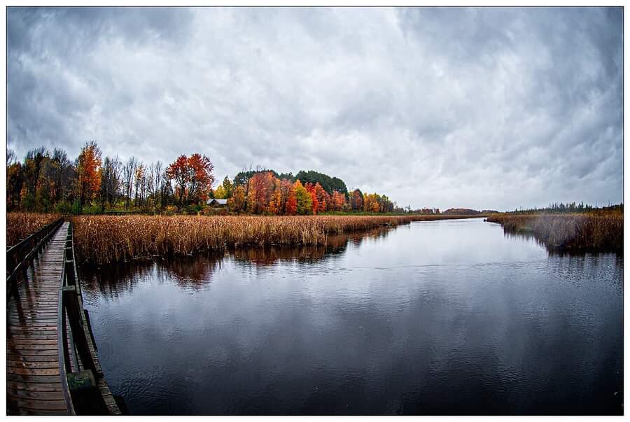 meus_g's tweet photo. A cloudy morning within the @NCC_CCN Greenbelt at #merbleu for #fallrhapsody
Une matinée ennuagée à #merbleu dans la #ceinturedeverdure de la @CCN_NCC pour le #colorisautomnal.
@ottawacity @ottawaville @Ottawa_Tourism @TourismeOttawa https://t.co/yihSztQjIT